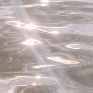 Meet your Posher, Elyse